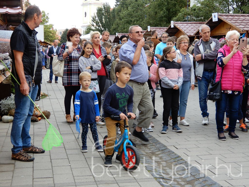 Helyi Értékek Startja 19